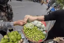 Hà Nội: Phạt người bán hàng rong hét giá khách Tây túi táo nhỏ 200.000 đồng