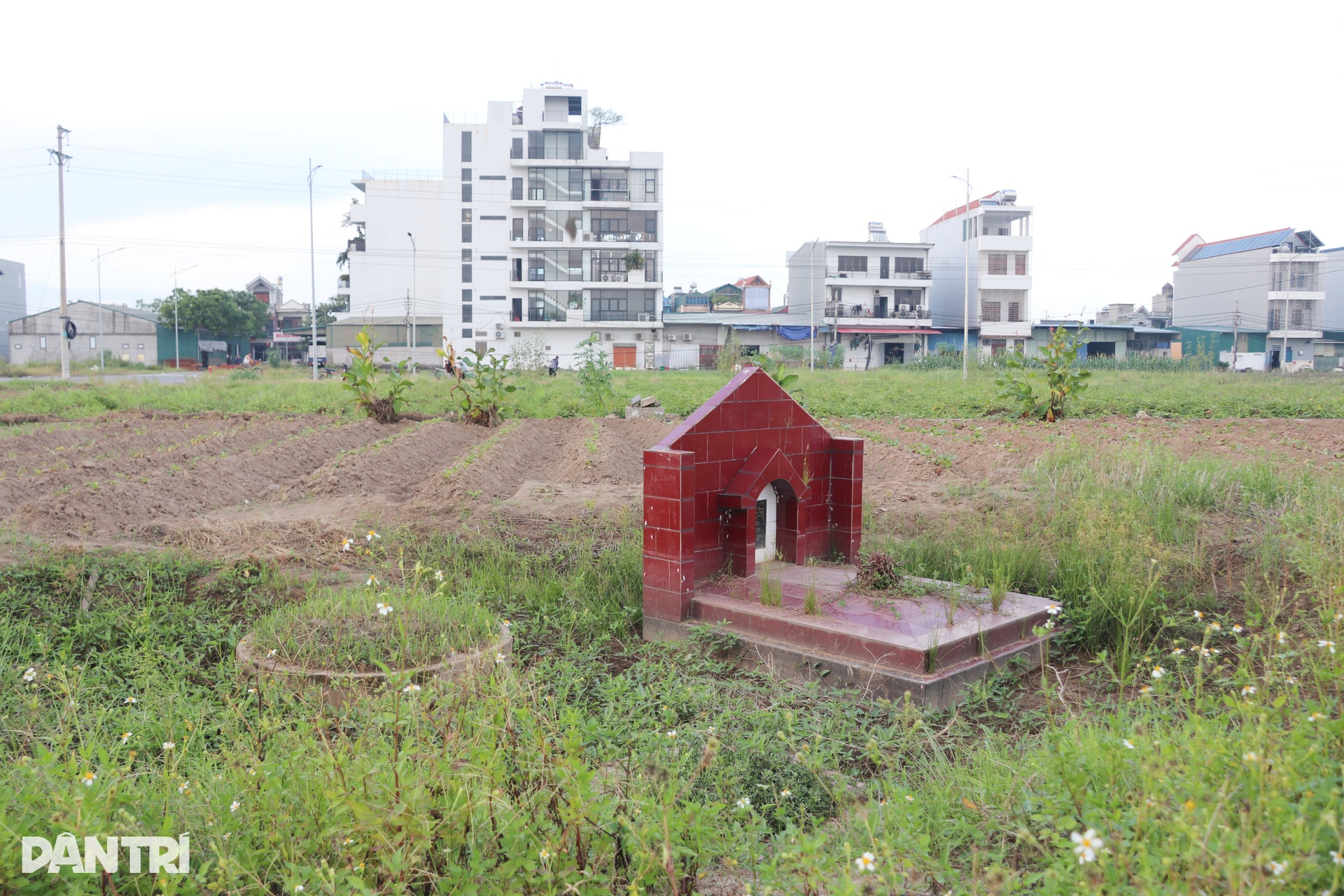vu-ngoi-mo-an-ngu-giua-duong-6jpg-1758297090182.jpg