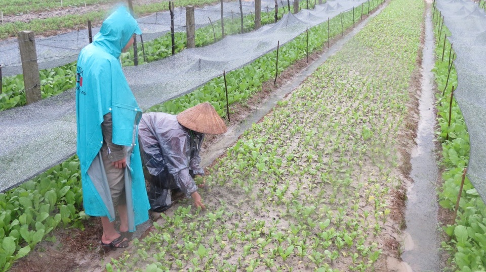 “Rốn” lũ Phong Điền nước dâng nhanh, ngập đến nửa nhà dân - 17 “Rốn” lũ Phong Điền nước dâng nhanh, ngập đến nửa nhà dân - 17
