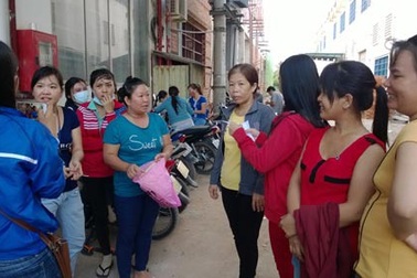 TP HCM: Gần 500 doanh nghiệp nợ BHXH trên 6 tháng