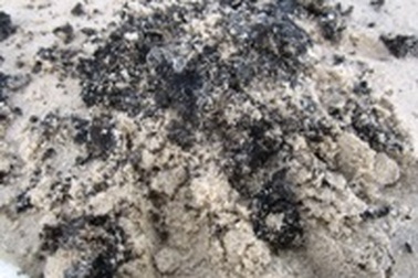 Hàng chục thanh niên thu gom dầu vón cục trên bờ biển