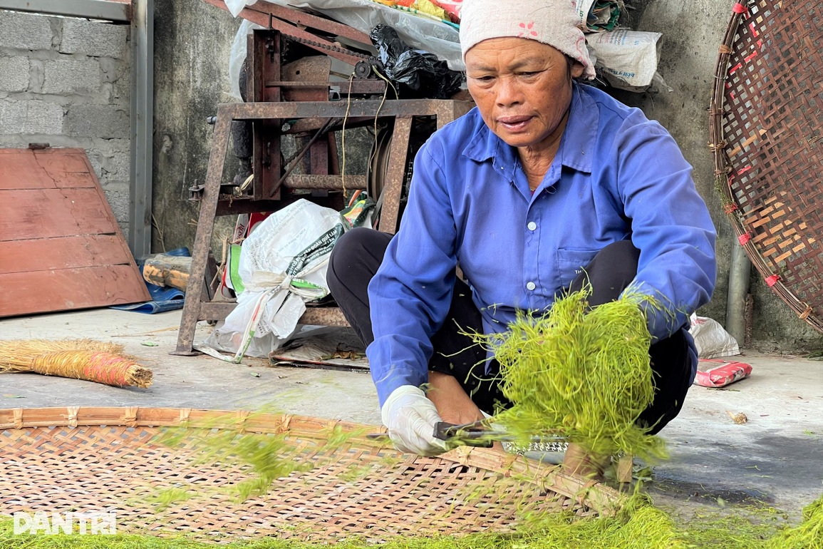 Trồng cây chồng hút vợ say, bỏ túi trăm triệu đồng mỗi vụ - 8 Trồng cây chồng hút vợ say, bỏ túi trăm triệu đồng mỗi vụ - 8