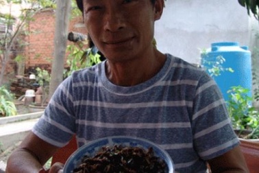 Ông trùm nuôi dế và giấc mơ “bột dế Việt Nam”