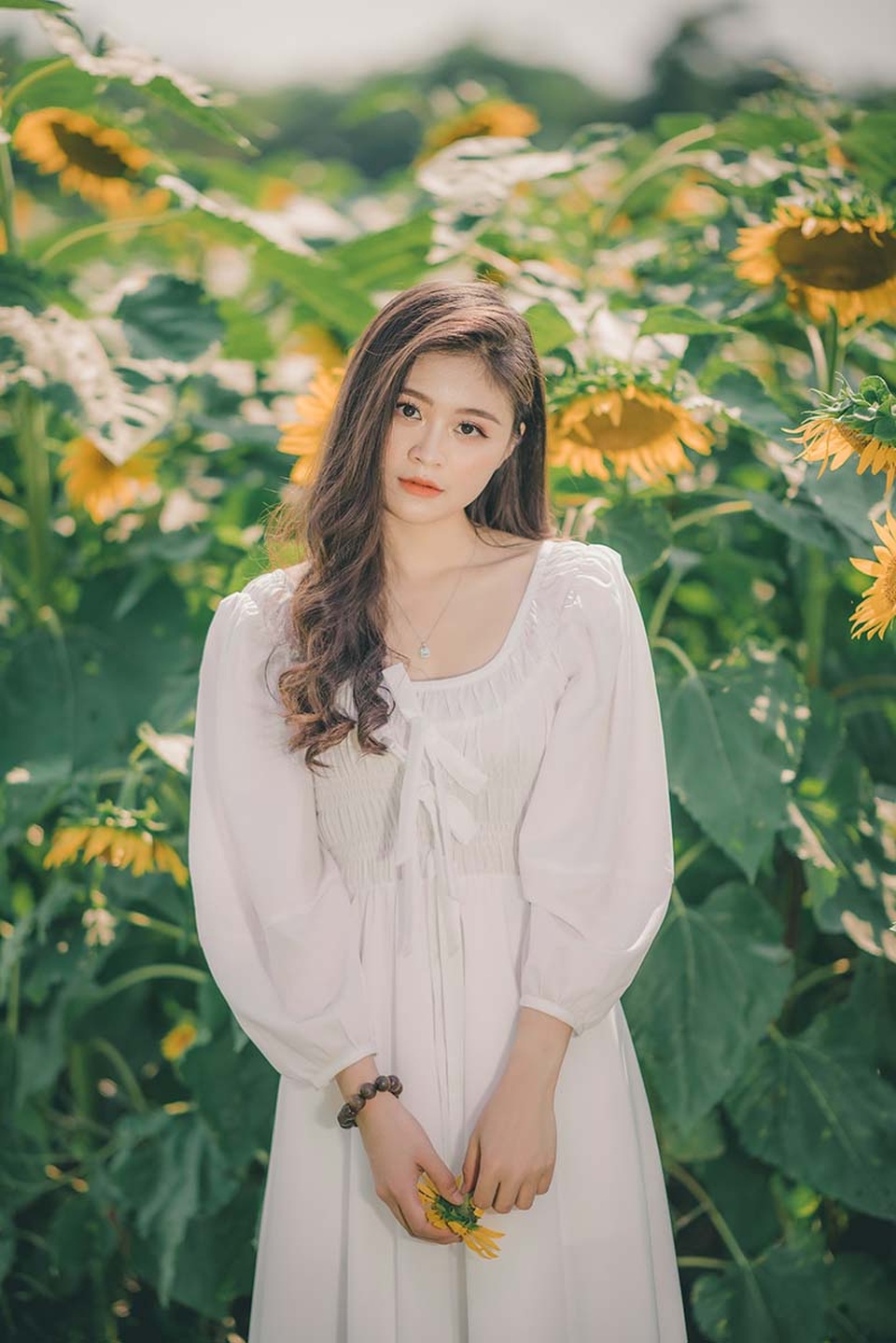 Cựu nữ sinh Ngoại thương khoe sắc bên hoa hướng dương - 2 Cựu nữ sinh Ngoại thương khoe sắc bên hoa hướng dương - 2