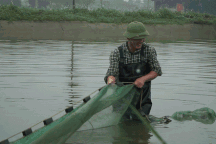 Mẻ lưới trăm triệu tại nơi sản xuất "phương tiện" tiễn ông Công, ông Táo