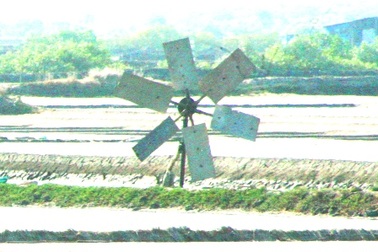 Ngắm những “dũng sĩ” cối xay gió trên những cánh đồng muối