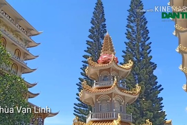 Vi vu lên "Nóc nhà miền Tây" bằng cáp treo