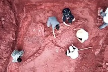 Hóa thạch khủng long khổng lồ, được coi là 'báu vật quốc gia' ở Trung Quốc