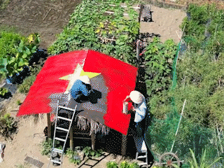 জাপানে জাতীয় দিবস উদযাপনের ধারা অনুসরণ করে পাতার কুঁড়েঘরে জাতীয় পতাকা এঁকেছেন ভিয়েতনামী শ্রমিকরা - ১ Lao động Việt vẽ cờ tổ quốc trên chòi lá ở Nhật, đu trend mừng Quốc khánh - 1