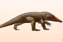 Lộ diện loài quái thú mới: Đầu cá sấu, chân như người, mình khủng long