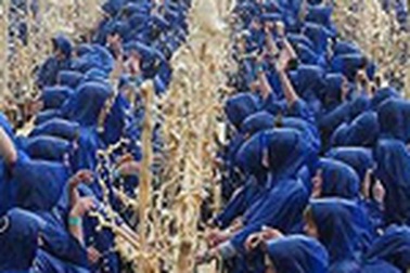 1.360 “núi lửa nhỏ” phun trào cùng lúc