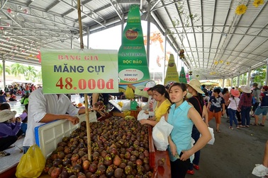 Lễ hội trái cây Nam bộ 2017 khai mạc đúng ngày Quốc tế thiếu nhi
