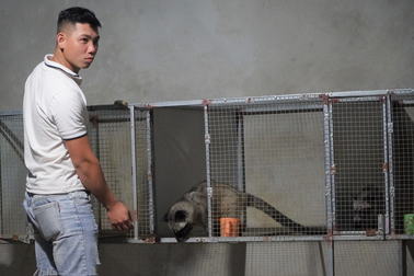 Mua tôm, ghẹ nuôi loài vật siêu "chảnh", đổi lại một vốn bốn lời