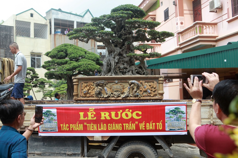“Chấn động” tác phẩm 28 tỷ đồng được “biến hóa” từ ngọn cây tưởng bỏ đi - 5 “Chấn động” tác phẩm 28 tỷ đồng được “biến hóa” từ ngọn cây tưởng bỏ đi - 5