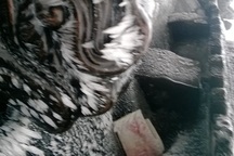 Chùa Đồng lạnh 0 độ C, Yên Tử xuất hiện băng tuyết