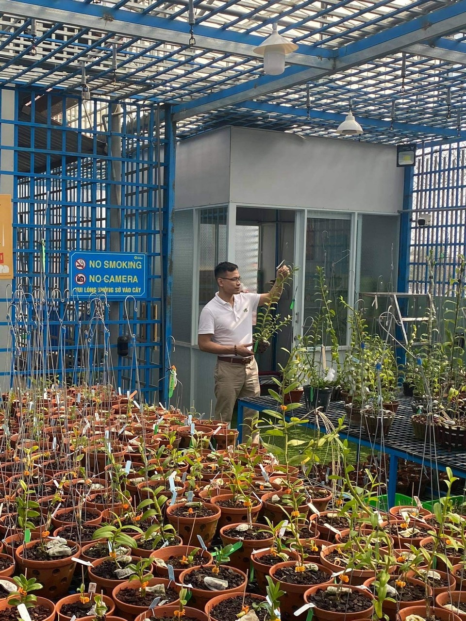 Nghệ nhân Bùi Đình Chung bật mí cách chăm lan đột biến vào mùa hè - 2 Nghệ nhân Bùi Đình Chung bật mí cách chăm lan đột biến vào mùa hè - 2
