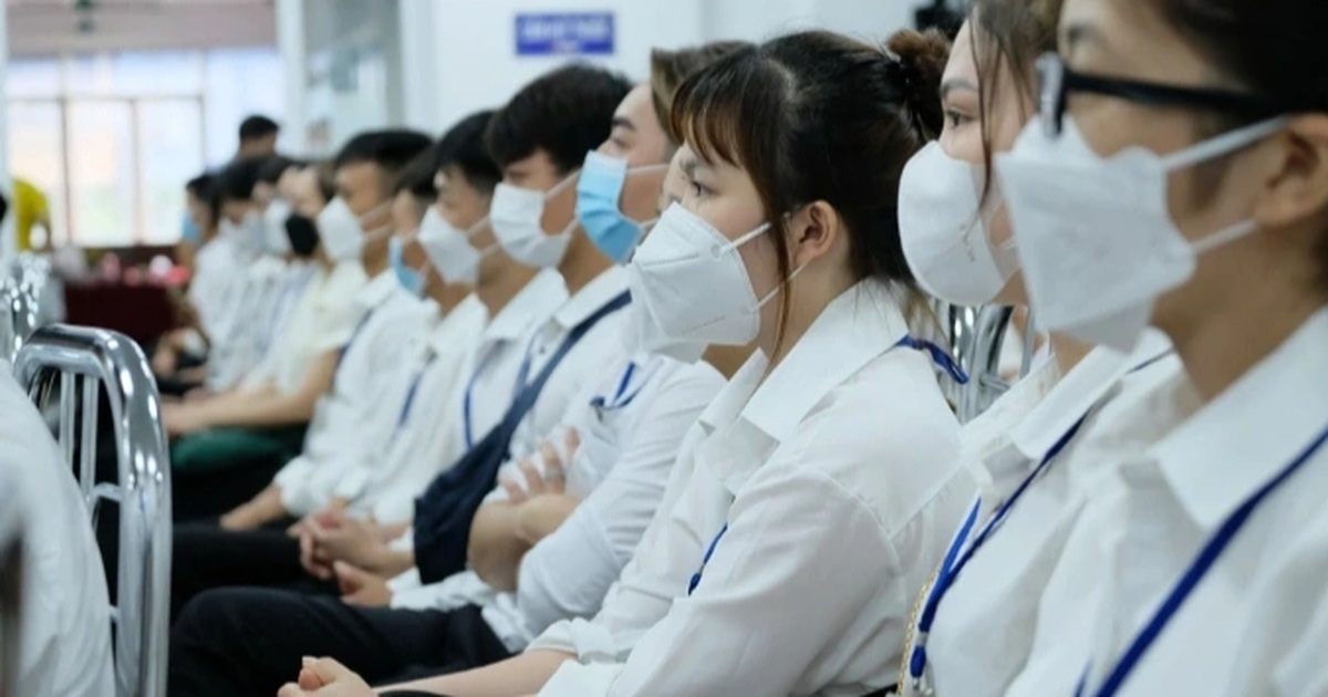 dantri.com.vn
