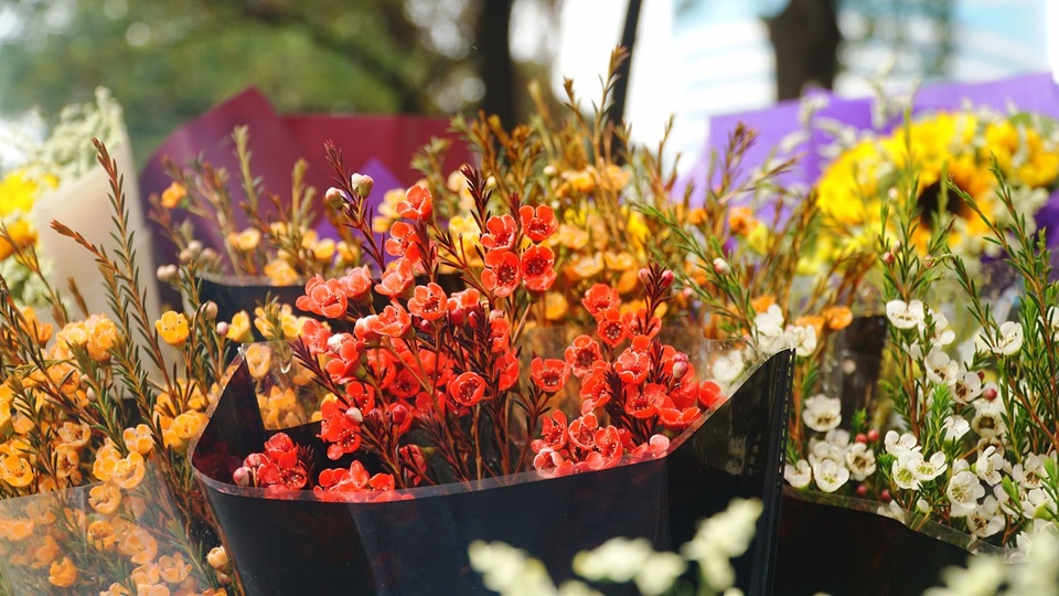 Cận ngày 8/3, hoa tươi bán dọc vỉa hè, tiểu thương đứng ngồi chờ khách - 4 Cận ngày 8/3, hoa tươi bán dọc vỉa hè, tiểu thương đứng ngồi chờ khách - 4