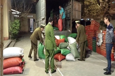 Bắt giữ xe ô tô vận chuyển hơn 2 tấn hạt dẻ nhập lậu Trung Quốc