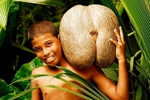 Loại hạt lớn nhất hành tinh, mỗi hạt giá tương đương hơn 70 triệu đồng