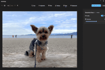 Cách xóa chi tiết không mong muốn trên ảnh nhờ công cụ AI của Microsoft