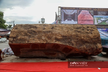 Ngỡ ngàng khúc gỗ được rao bán 10 tỷ đồng tại hội chợ ở Hà Nội