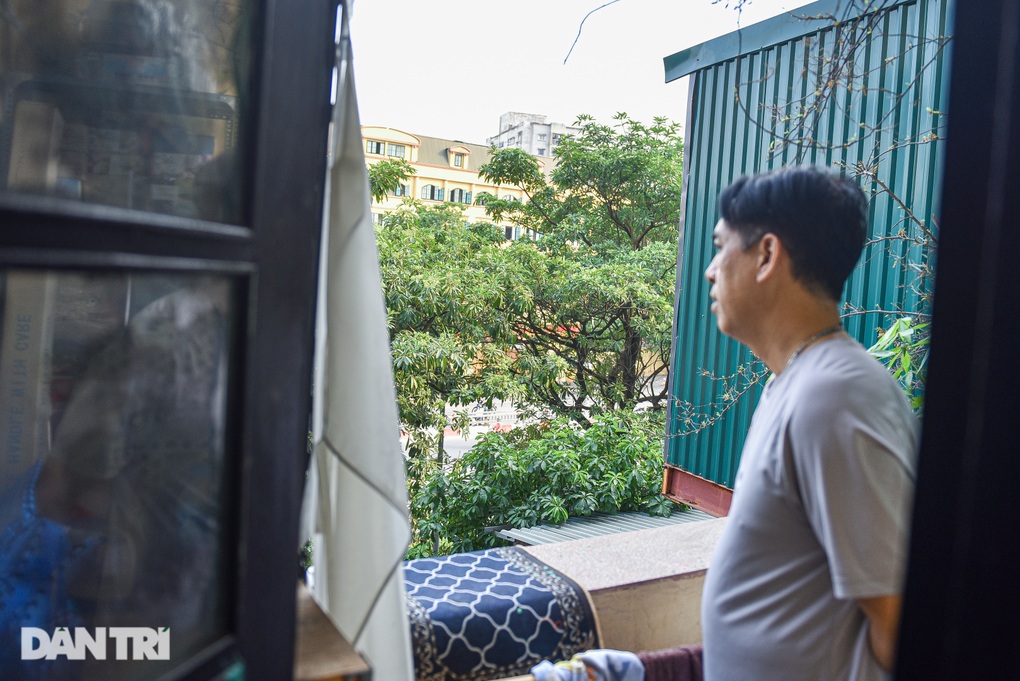 Sống cạnh hàng hoa sữa sắp di dời: Người tiếc nuối, người nói như tra tấn - 5 Sống cạnh hàng hoa sữa sắp di dời: Người tiếc nuối, người nói như tra tấn - 5