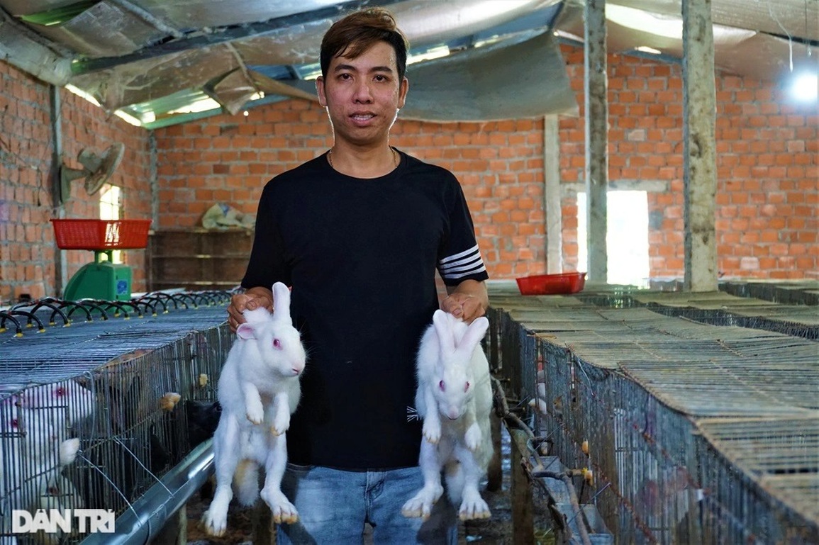 Nuôi thú cưng của chị Hằng, vừa khỏe lại còn đẻ ra tiền triệu - 10 Nuôi thú cưng của chị Hằng, vừa khỏe lại còn đẻ ra tiền triệu - 10