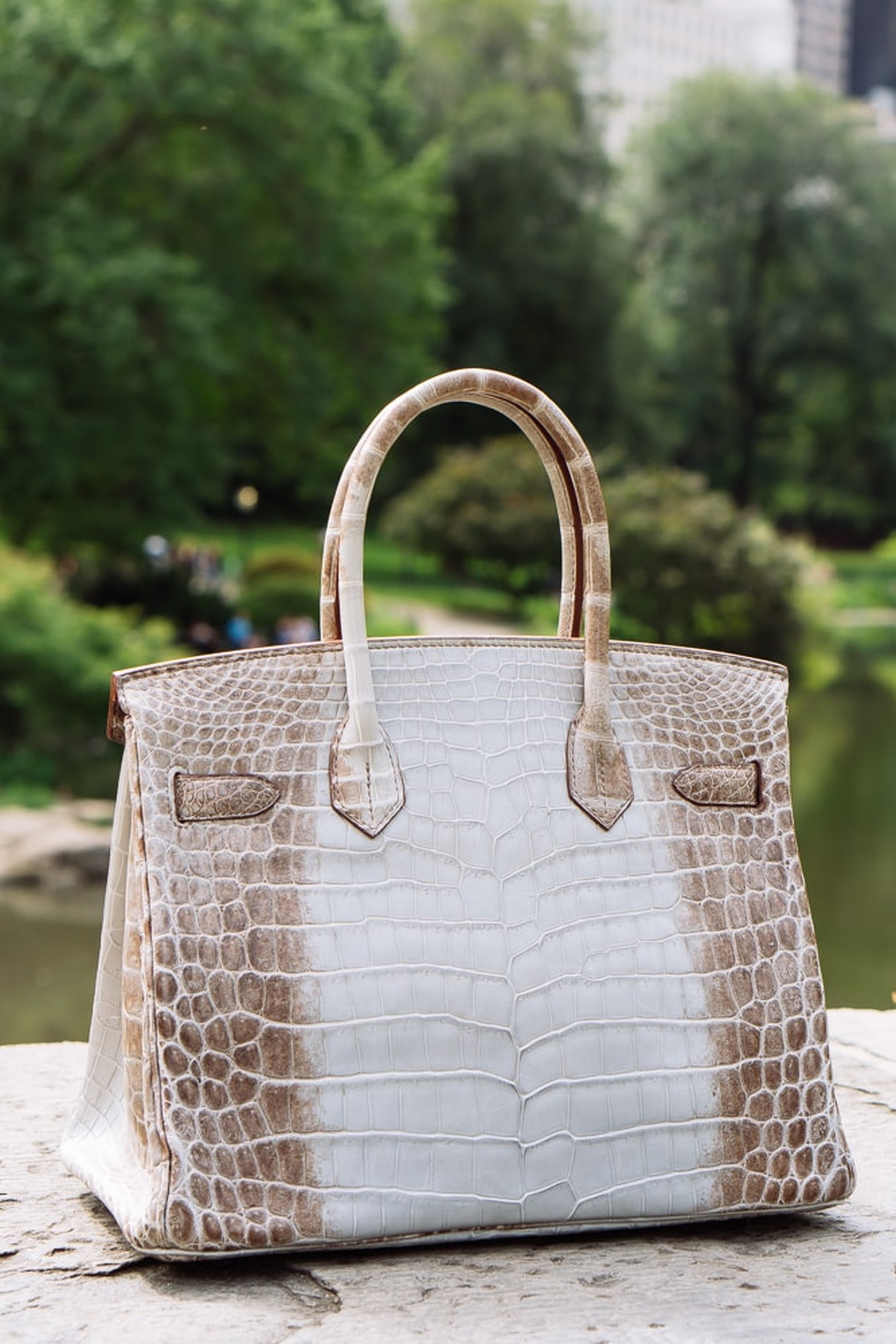 Túi Hermès da cá sấu giá tiền tỷ khiến giới siêu giàu săn lùng - 14 Túi Hermès da cá sấu giá tiền tỷ khiến giới siêu giàu săn lùng - 14