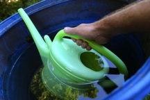 Trộm nước mưa hàng xóm, người phụ nữ Đức bị cảnh sát điều tra