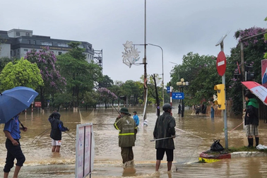 Đổ xô thả vó bắt cá trên đường phố ngập "không lối thoát"