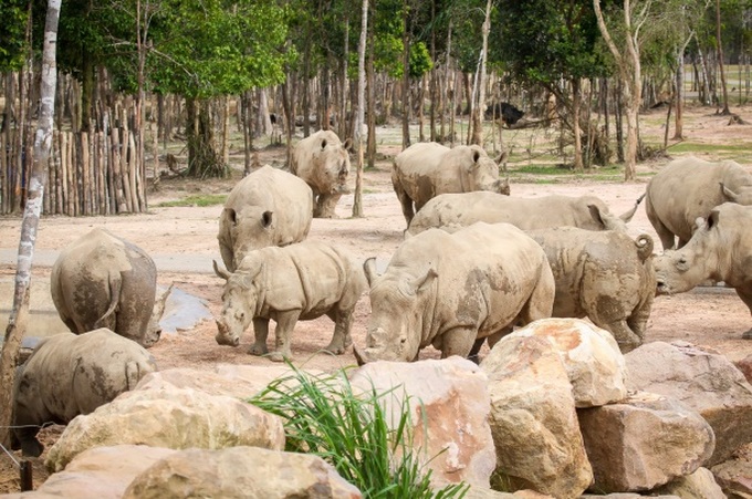 Khám phá cuộc sống hoang dã “thời giãn cách” bên trong công viên bảo tồn lớn bậc nhất châu Á - Ảnh 1.