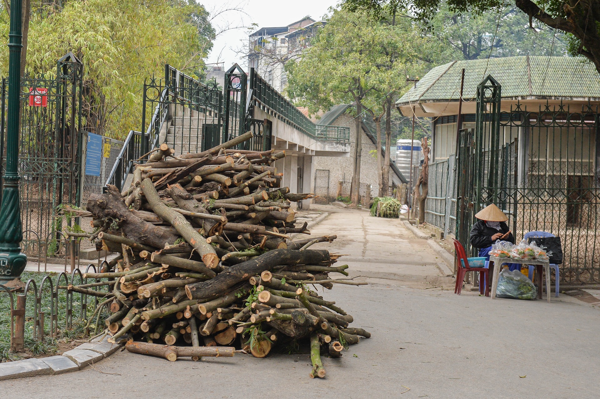 Đốt lửa, bật nước nóng để sưởi ấm cho động vật ở vườn thú Hà Nội - 5 Đốt lửa, bật nước nóng để sưởi ấm cho động vật ở vườn thú Hà Nội - 5