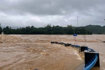 Mưa kéo dài gây ngập lụt, sạt lở ở Quảng Ngãi, Quảng Nam