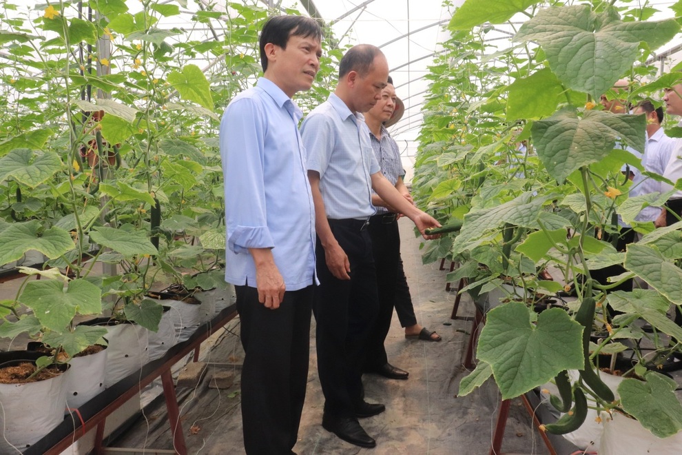 Bắc Ninh giảm nghèo hiệu quả nhờ đa dạng cách làm - 1