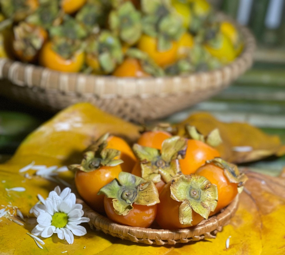 Bất ngờ với những lợi ích sức khỏe tuyệt vời của quả hồng - 1 Bất ngờ với những lợi ích sức khỏe tuyệt vời của quả hồng - 1