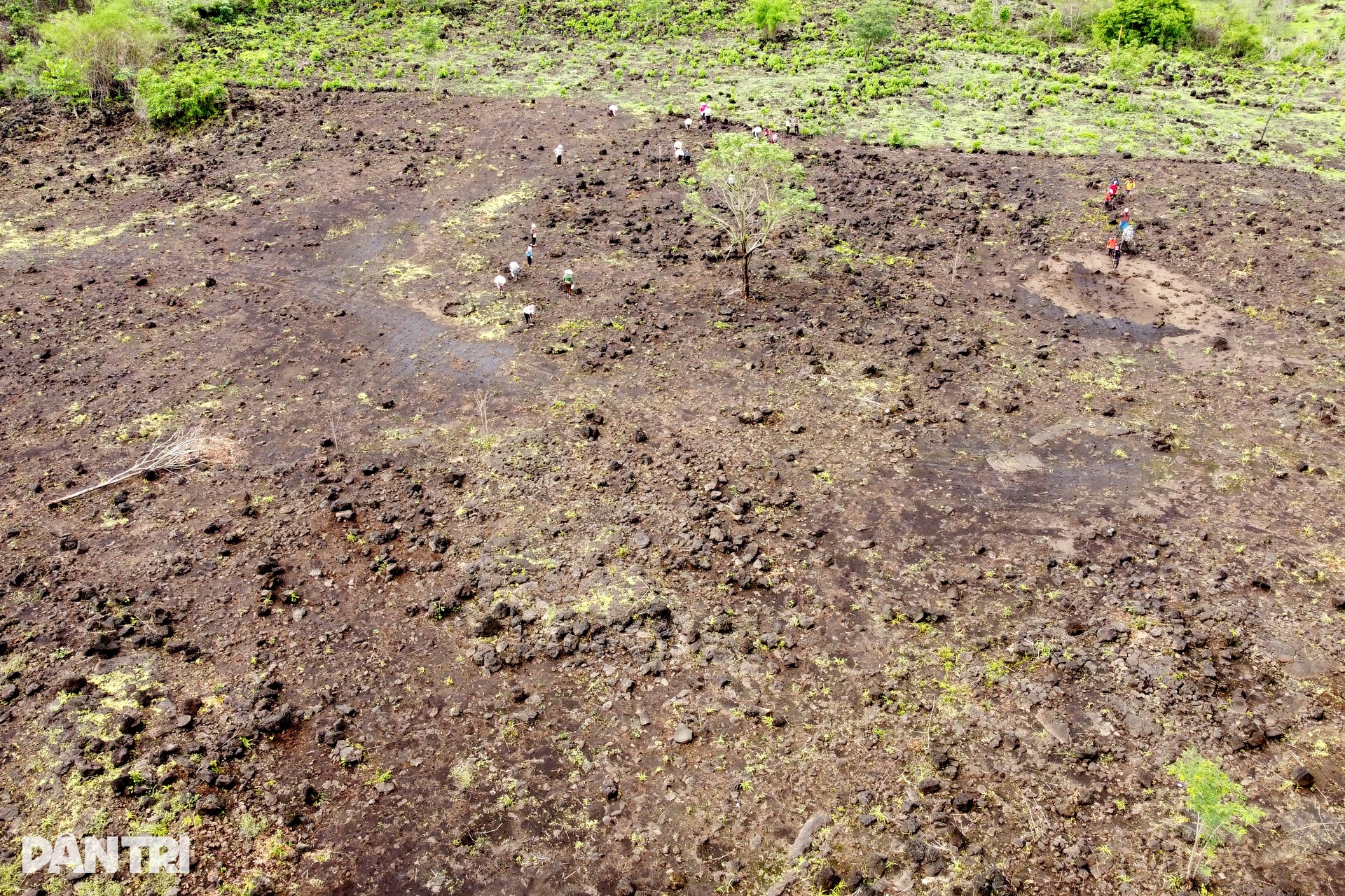 Vũ điệu tra hạt trên cánh đồng dung nham hàng nghìn năm tuổi - 3