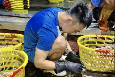 Hình ảnh cầu thủ Than Quảng Ninh… nhặt tôm lên báo nước ngoài