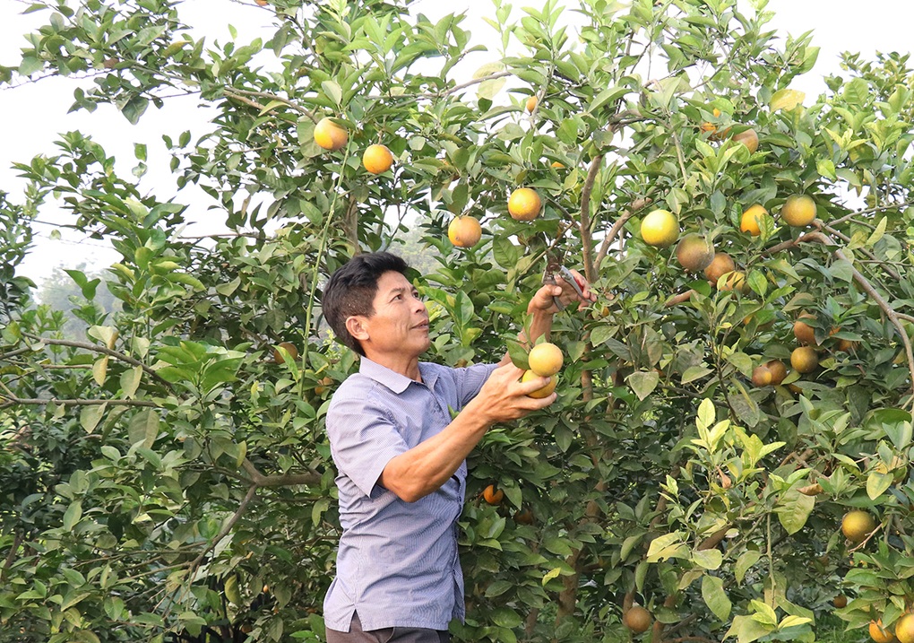 Hỗ trợ toàn diện, đời sống của người nghèo từng bước được cải thiện - 2 Hỗ trợ toàn diện, đời sống của người nghèo từng bước được cải thiện - 2