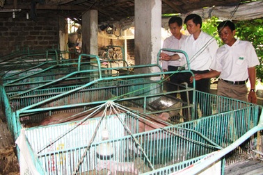 Tỷ phú người Sán Dìu