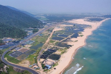 Hai dự án gần 6.600 tỷ đồng tại Phú Yên được chấp thuận chủ trương đầu tư