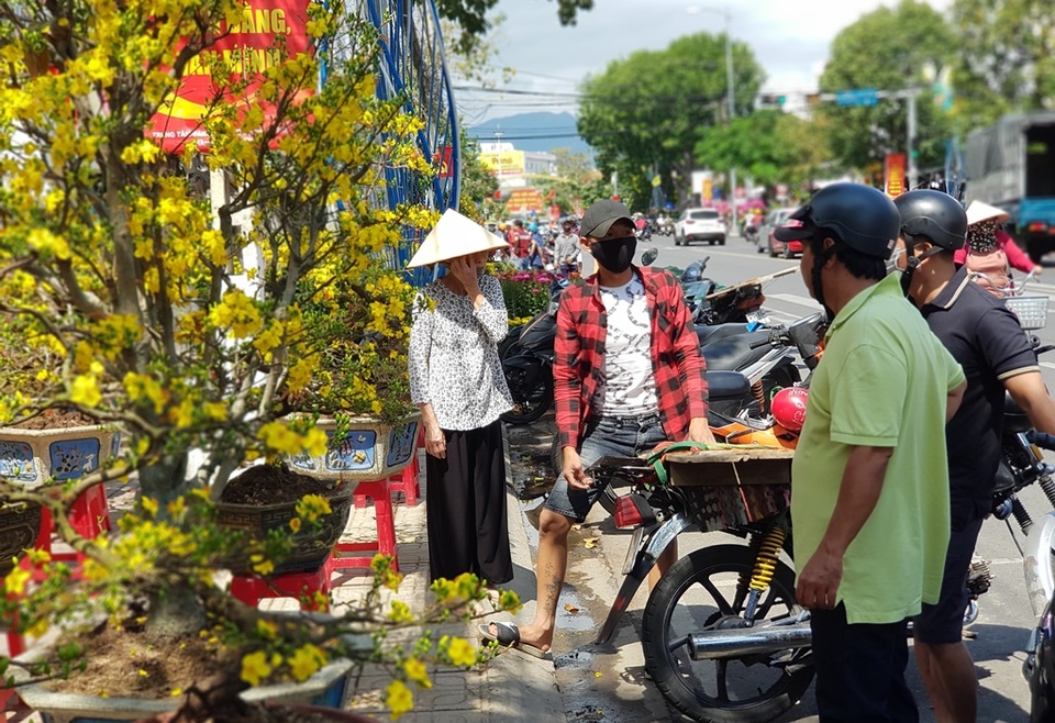 29 Tết: Mai vàng bung nở tung tóe, vừa bán vừa hạ giá chạy Tết - 7 29 Tết: Mai vàng bung nở tung tóe, vừa bán vừa hạ giá chạy Tết - 7