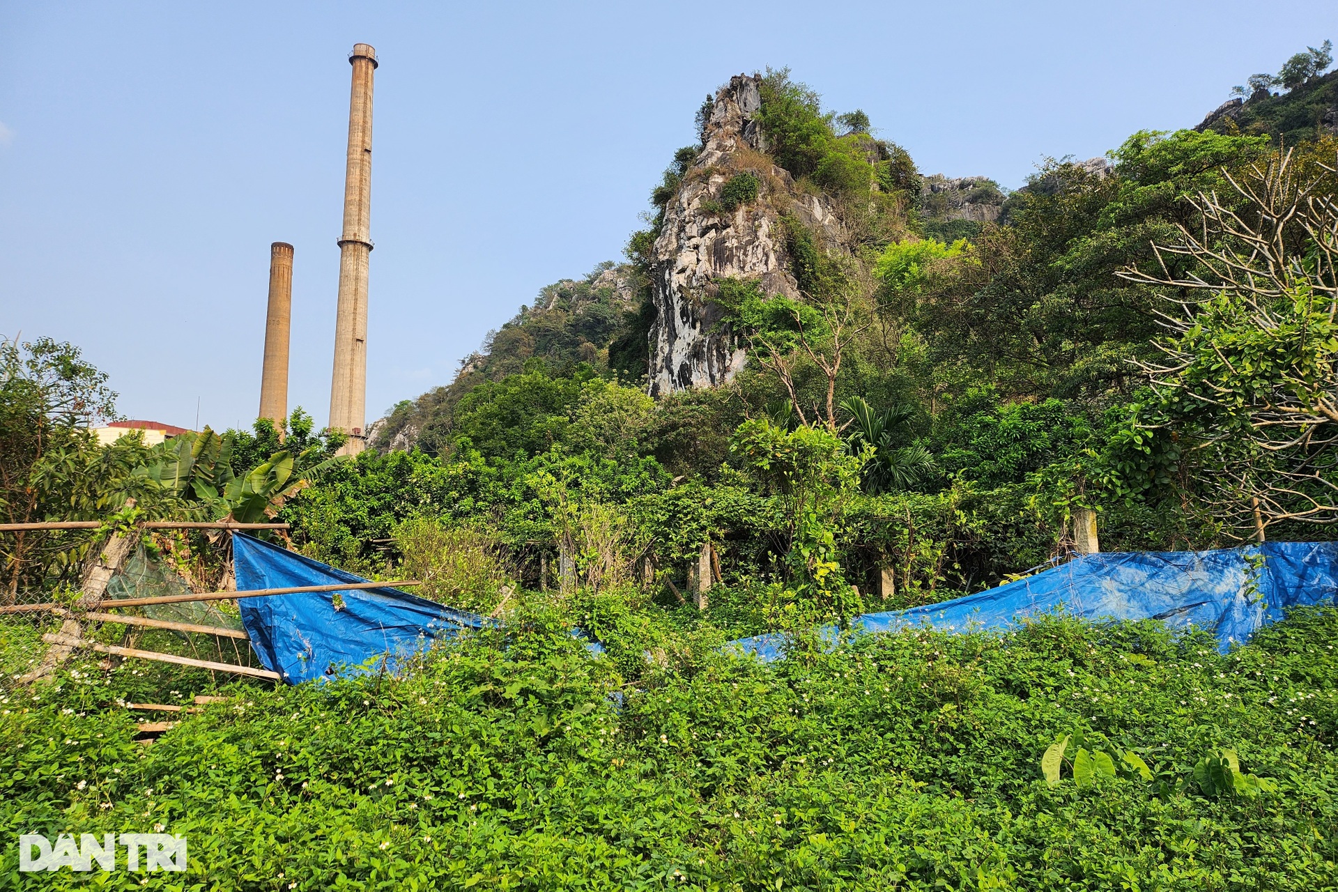 Di tích quốc gia bị bỏ hoang giữa thành phố Ninh Bình? - 3 Di tích quốc gia bị bỏ hoang giữa thành phố Ninh Bình? - 3