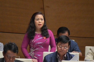 Tư nhân làm truyền tải điện: Đại biểu đề nghị thận trọng