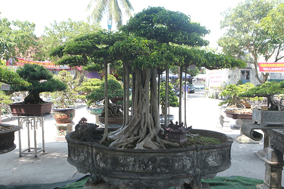 Chiêm ngưỡng “chùa Đồng” dưới bóng cây sanh tiền tỷ - 15 Chiêm ngưỡng “chùa Đồng” dưới bóng cây sanh tiền tỷ - 15