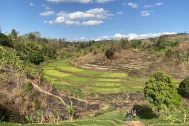 Gia Lai: “Mê mẩn” vẻ đẹp của ruộng bậc thang
