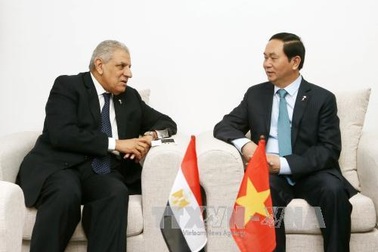 Chủ tịch nước tiếp xúc song phương tại Hội nghị Cấp cao Pháp ngữ