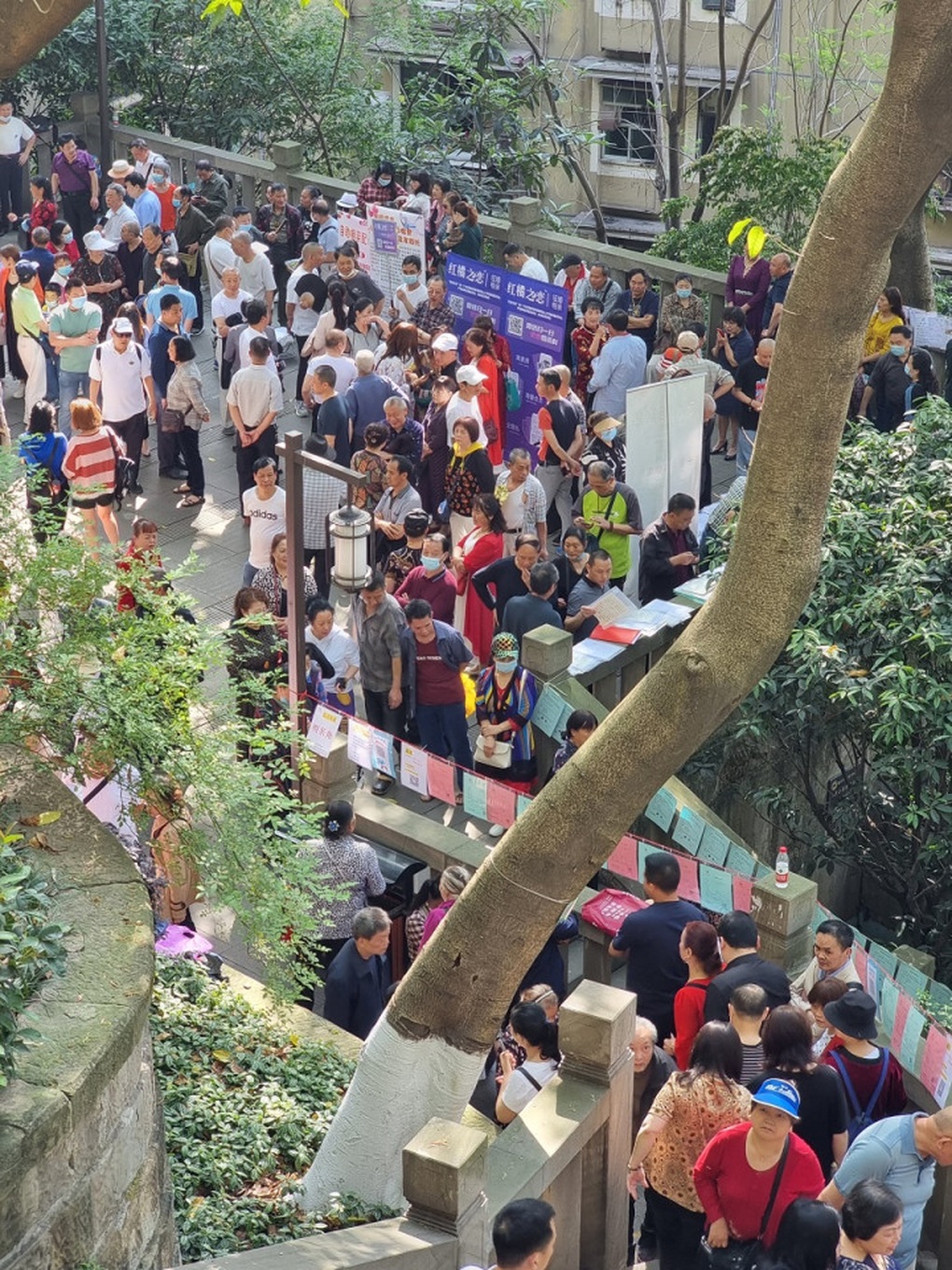 Chợ tình ở Trung Quốc: Đa phần người già kiếm cơ hội mong con thoát ế - 3