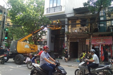 Thực hư thông tin công nhân cây xanh dùng xe chuyên dụng thay bóng đèn cho khách sạn