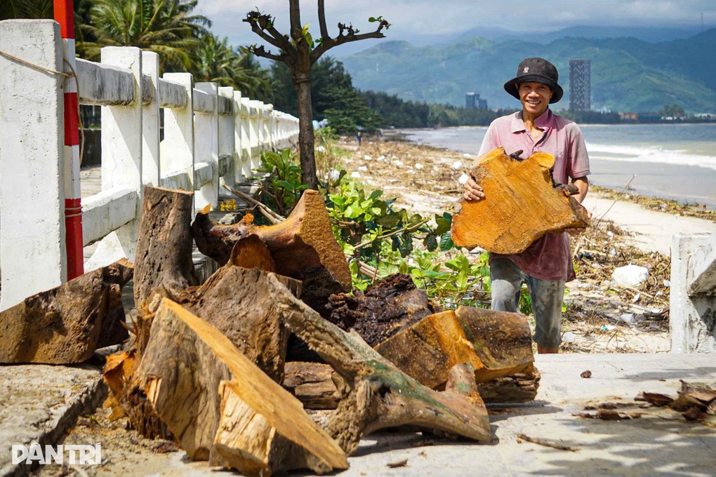 Người dân ra biển nhặt gỗ sau bão Kalmaegi, kiếm tiền triệu - 2